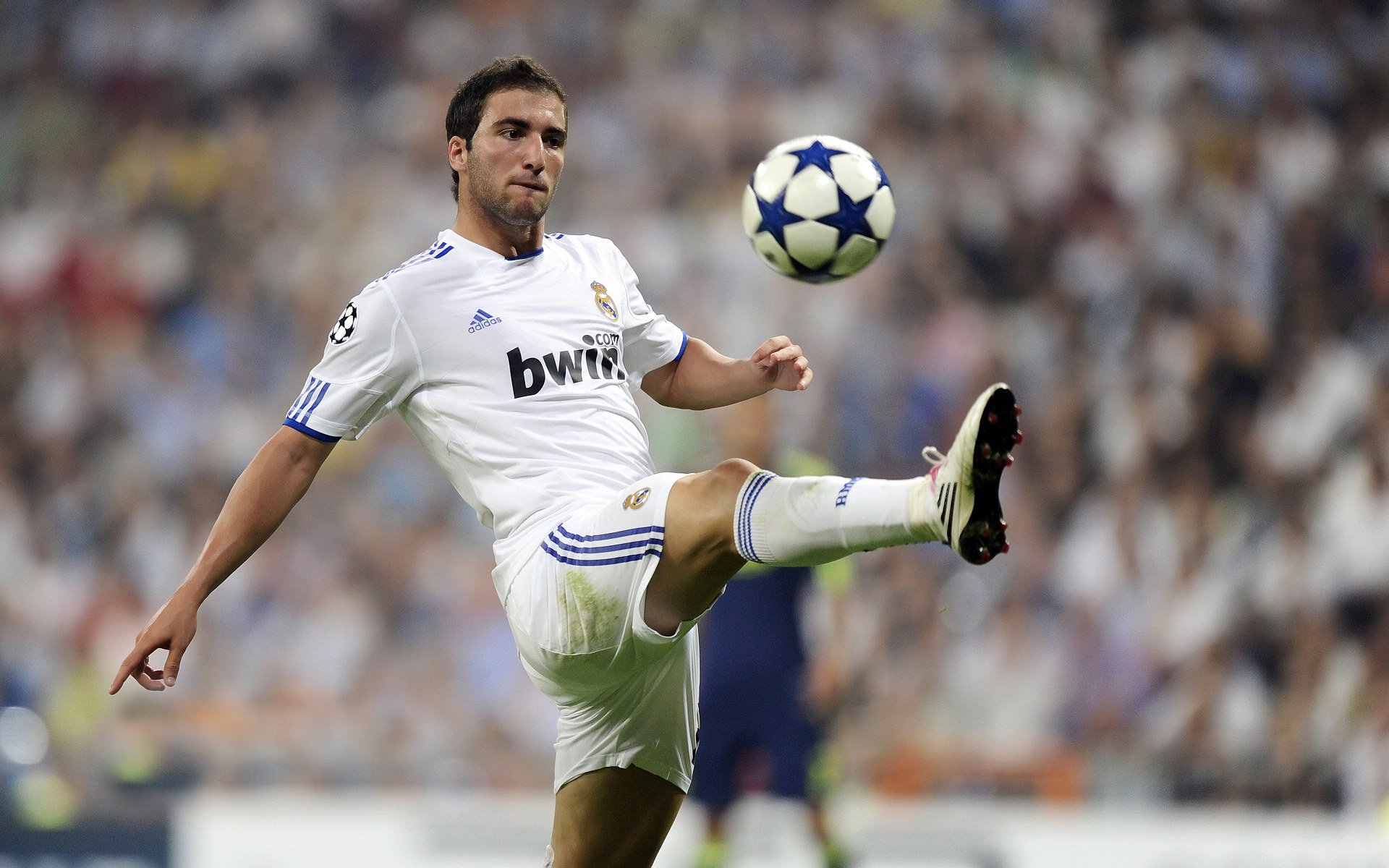 中国足球青训中锋产出质量趋势研究，中国足球青训进步