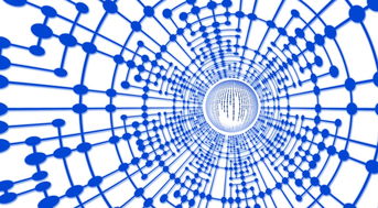 自由搏击裁判岗前训练模拟系统完成测试，自由搏击裁判口令讲解